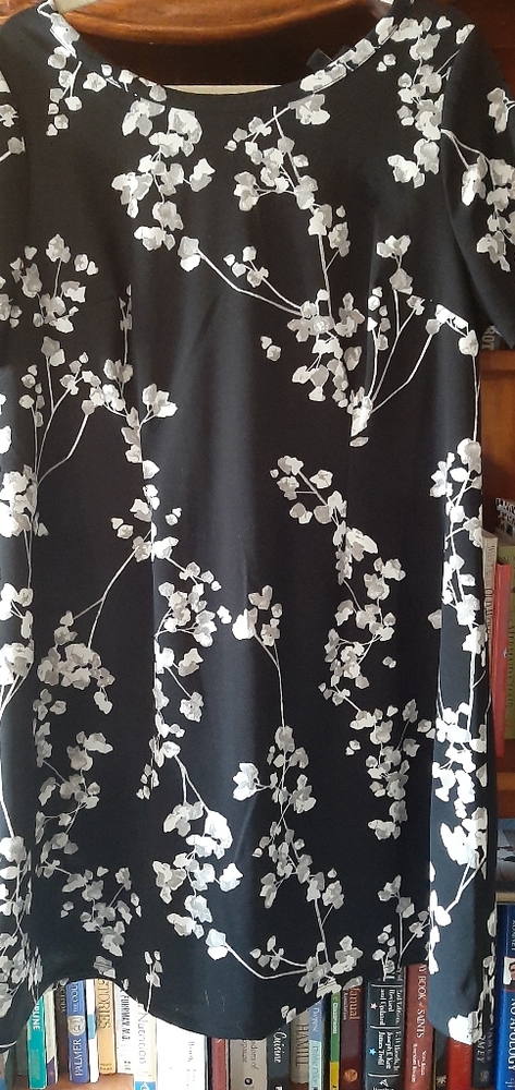 Lane Bryant Dress